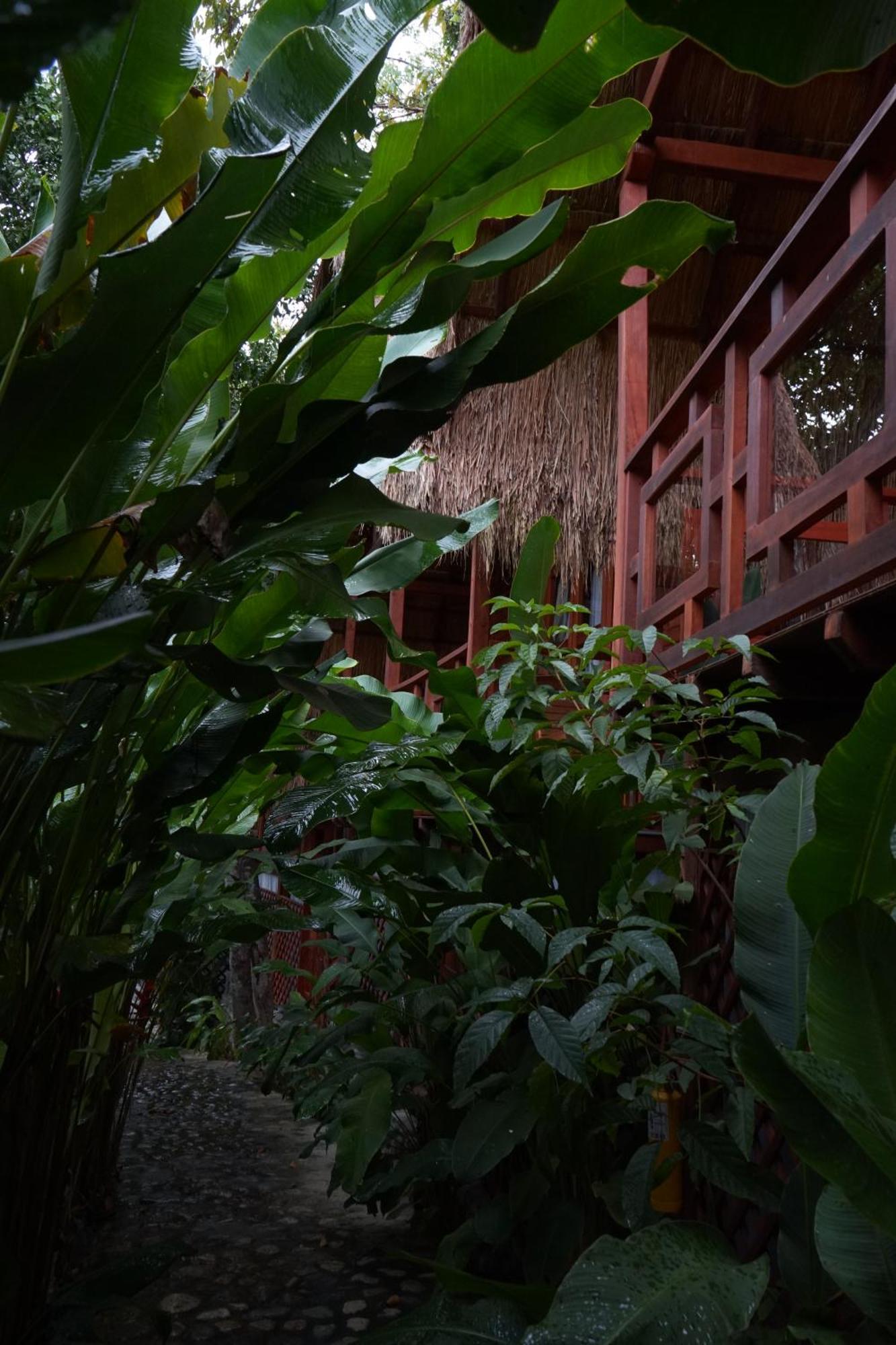 Bio Rio Hotel San Jerónimo Exterior foto